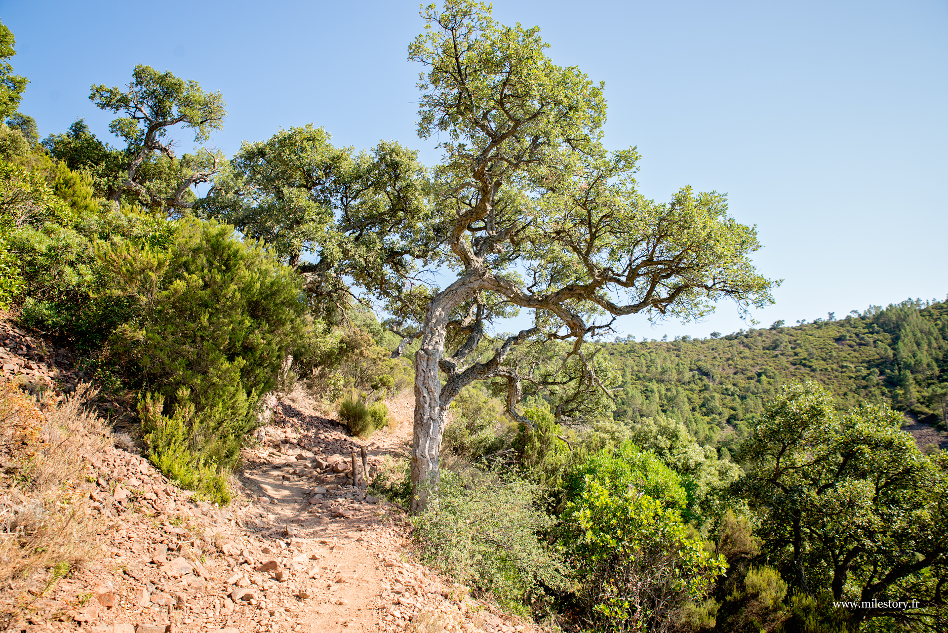 montée vers col du cap roux