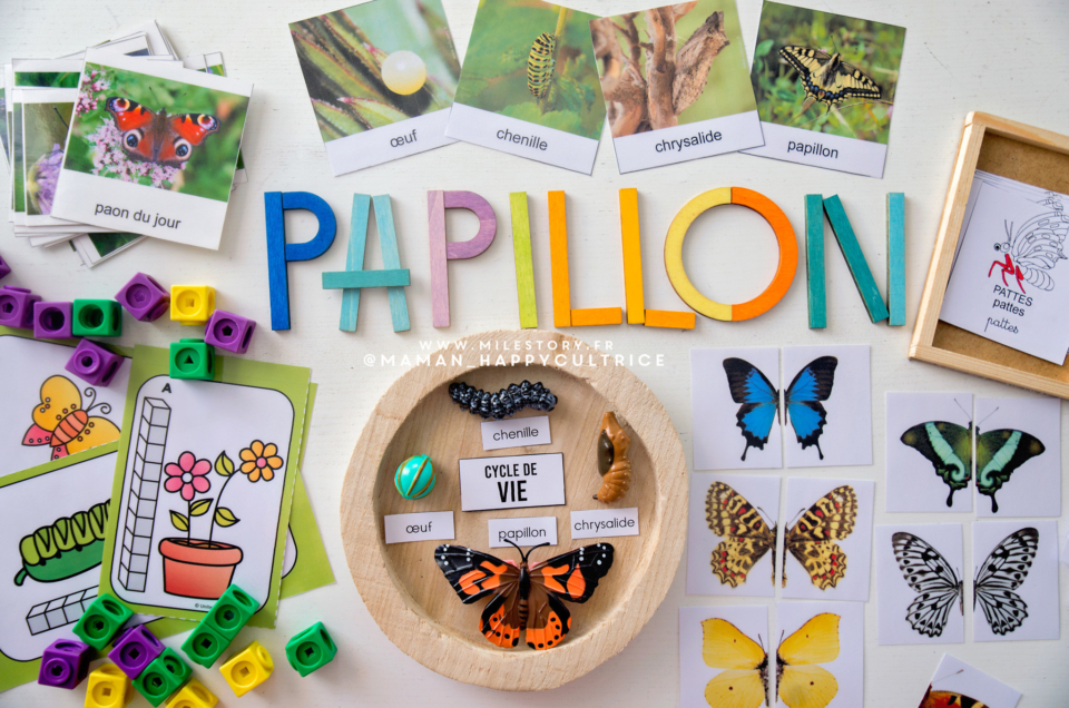 Activités papillons maternelle + Cartes de nomenclature papillons à imprimer