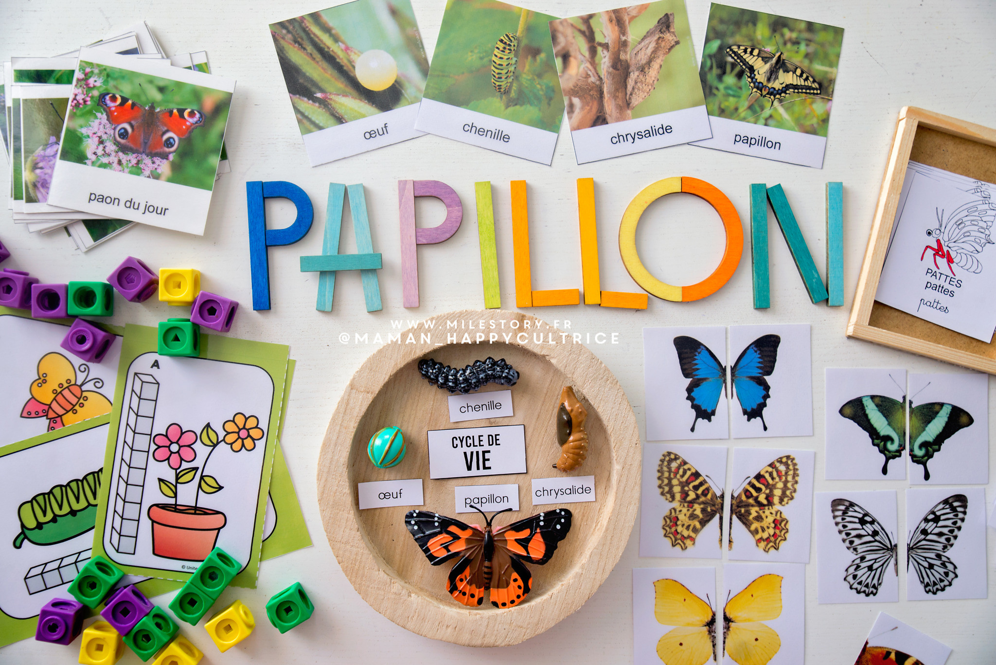 Activites Papillons Maternelle Cartes De Nomenclature Papillons A Imprimer Milestory Activites Papillons Maternelle Cartes De Nomenclature Papillons A Imprimer Milestory