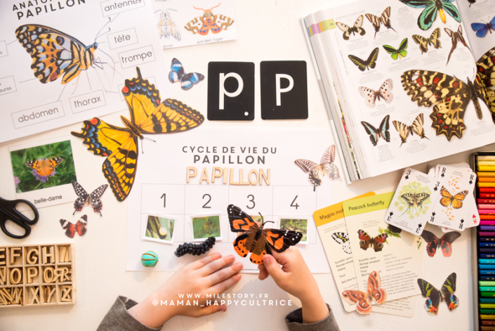 Activités papillons maternelle + Cartes de nomenclature papillons à