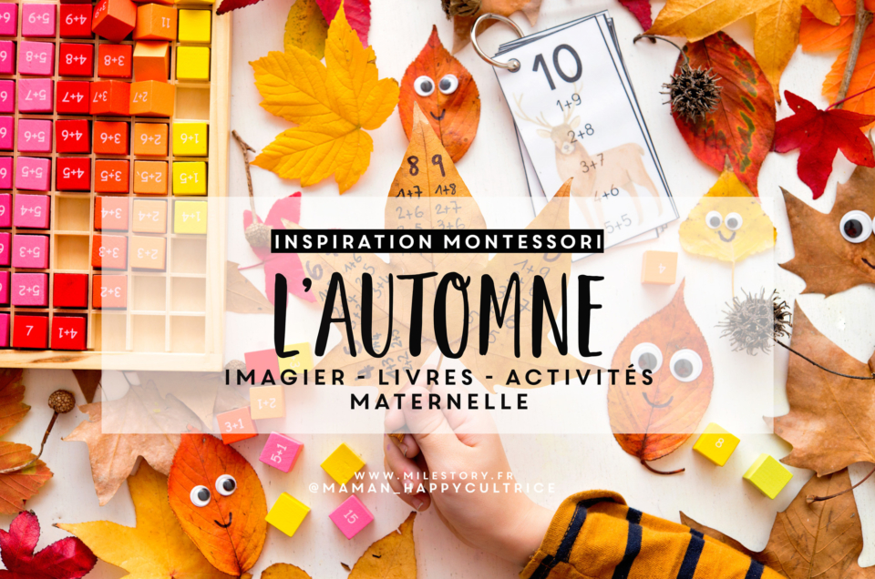 Activités thème automne maternelle : livres, imagier, activités, coloriages, jeux …