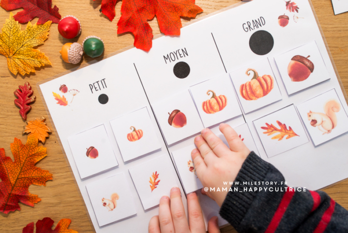 Activités d'inspiration Montessori 2 à 3 ans - Milestory.fr Fiches d
