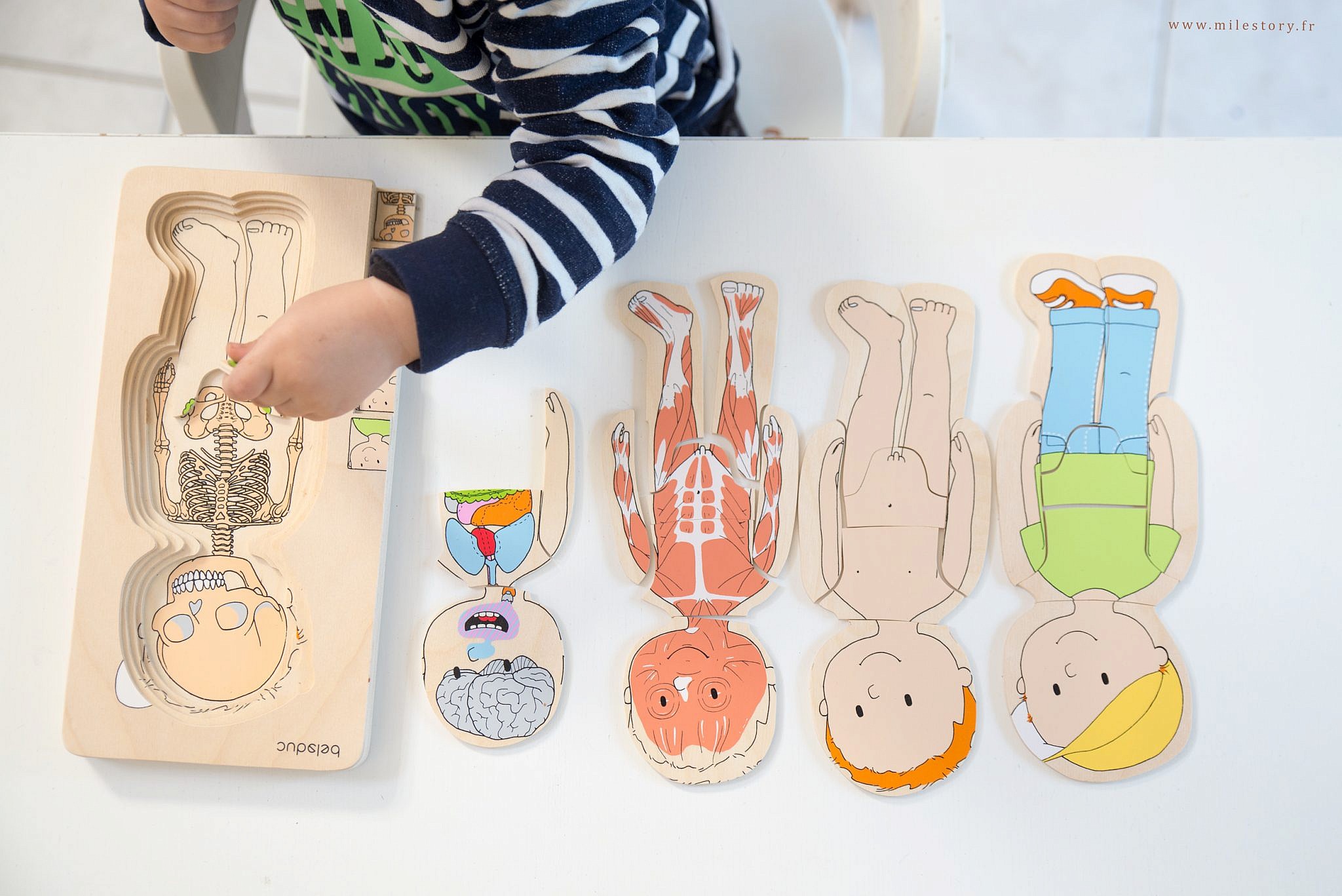 Corps - Puzzle 3d Montessori Pour Enfants, Modèle D'anatomie Du Corps  Humain, Apprentissage Éducatif, Jouet À