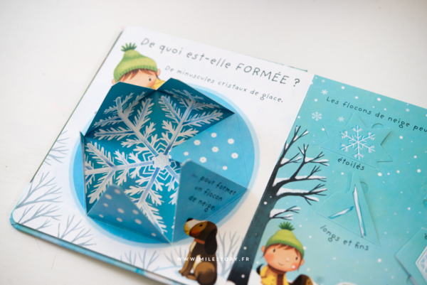 IEF Récap activités de l'hiver maternelle  imagier de l'hiver