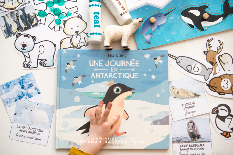 Activités banquise maternelle : animaux polaires, la vie aux pôles