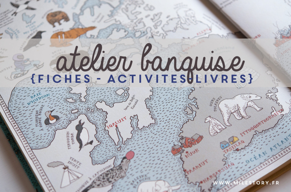 Activités banquise maternelle : animaux polaires, la vie aux pôles Nord et Sud