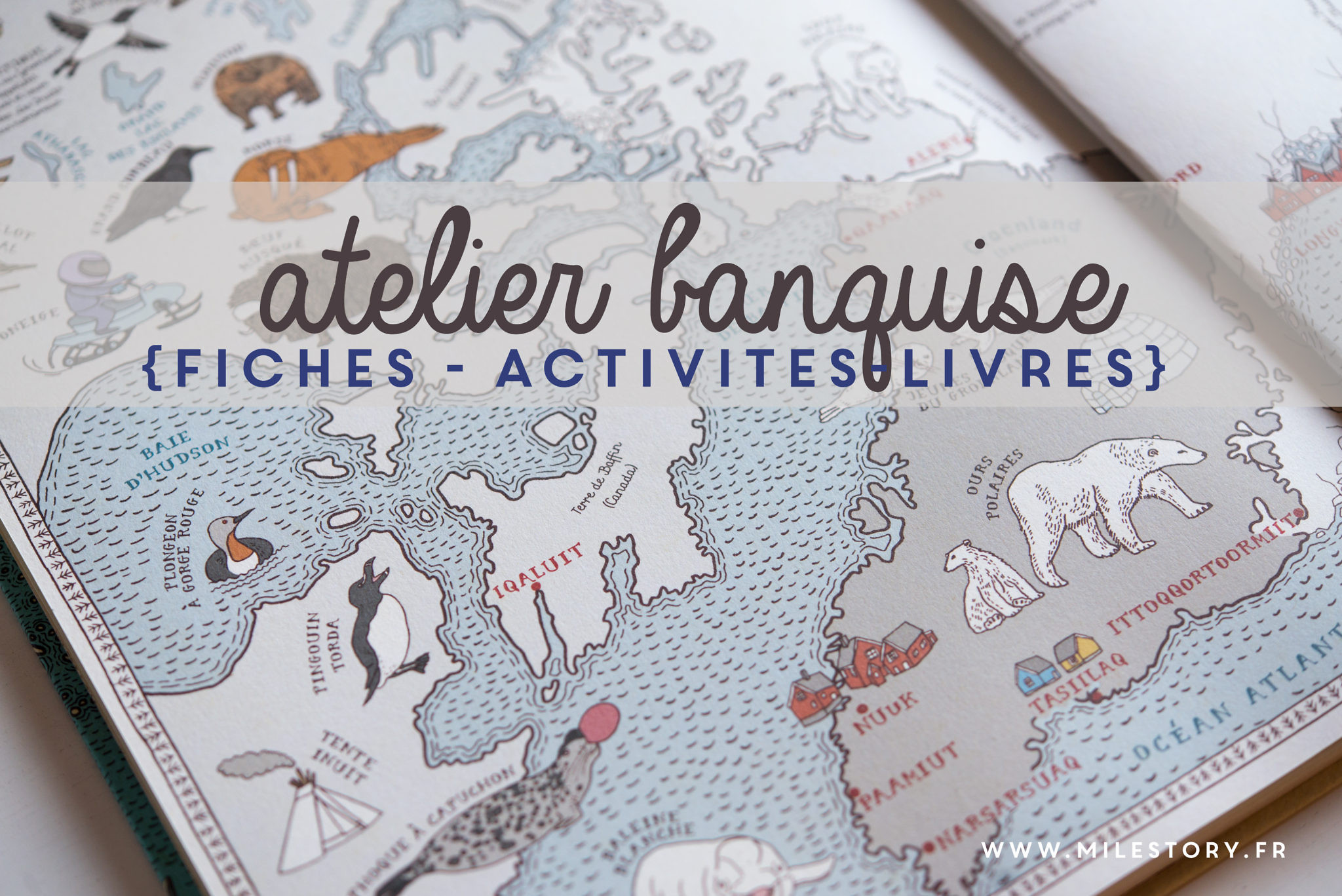 Activites Banquise Maternelle Animaux Du Froid La Vie Aux Poles Nord Et Sud Milestory Fr