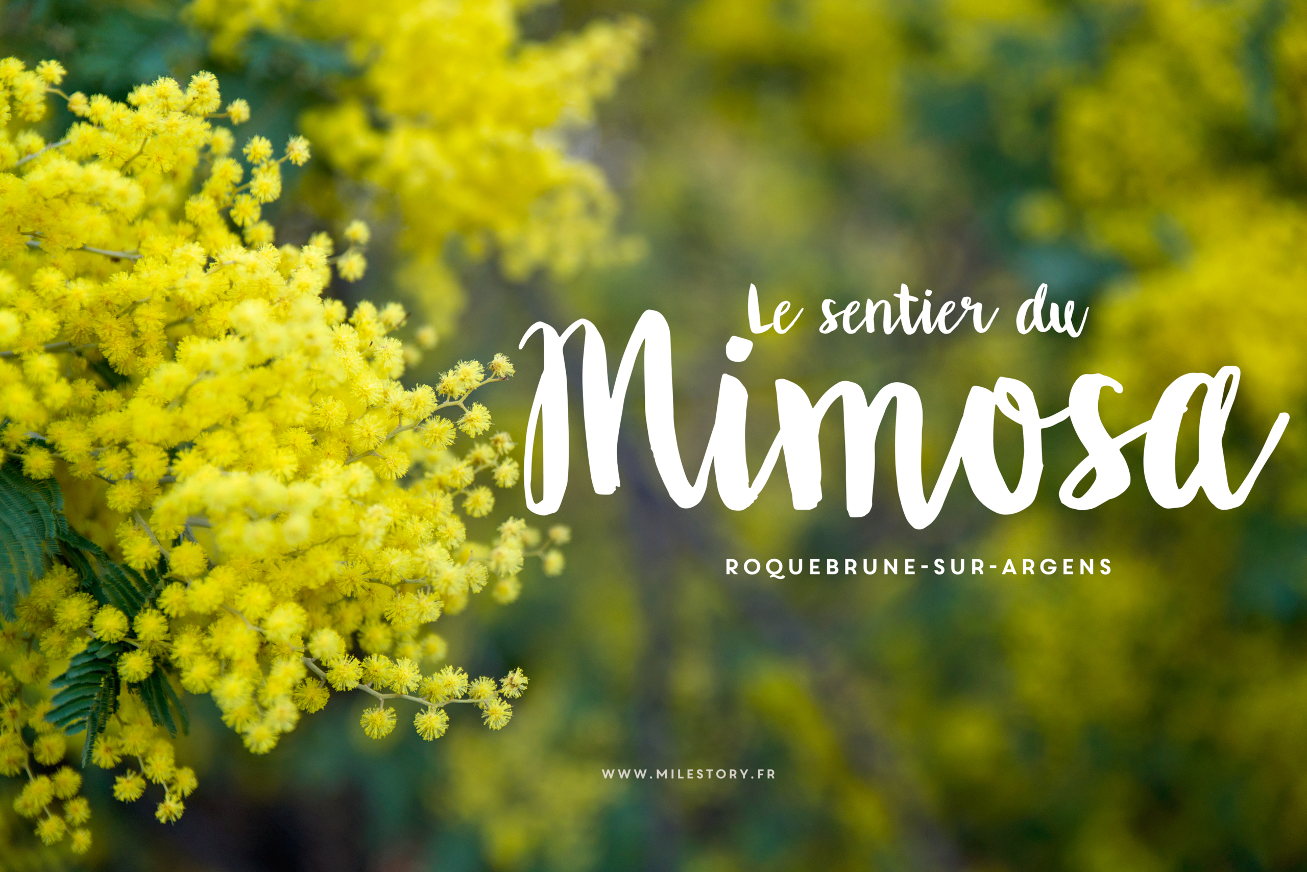 Randonnée sentier du Mimosa à Roquebrune-sur-Argens