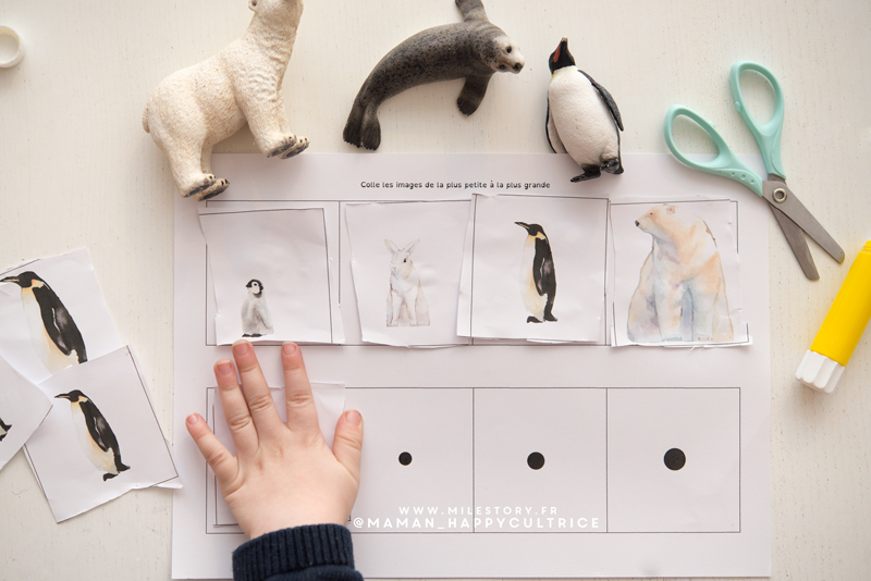 Activites Banquise Maternelle Animaux Du Froid La Vie Aux Poles Nord Et Sud Milestory Fr