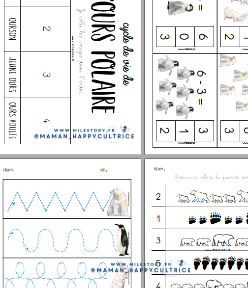 Geoplan, Fiches, Cahier de vie