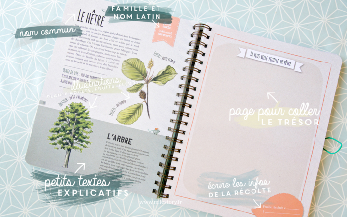Mon Herbier Page De Garde Herbier à Imprimer www.milestory.fr