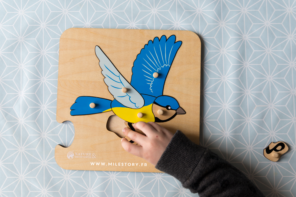 activités maternelle oiseaux Cartes nomenclature oiseaux ...