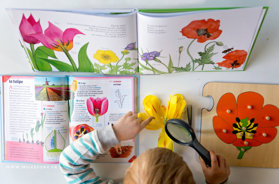 Livres et activités de printemps – coschooling & ief maternelle