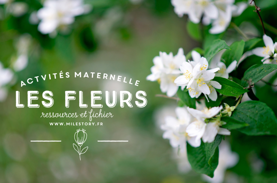 Livres et activités sur les fleurs en maternelle