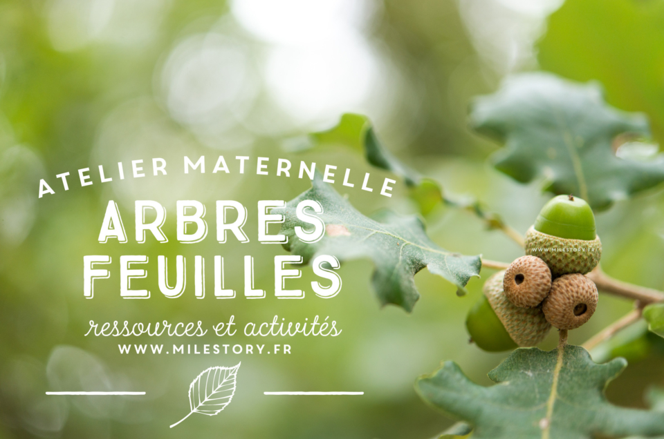 IEF maternelle coschooling – Livres et activités sur les arbres, les feuilles, la forêt