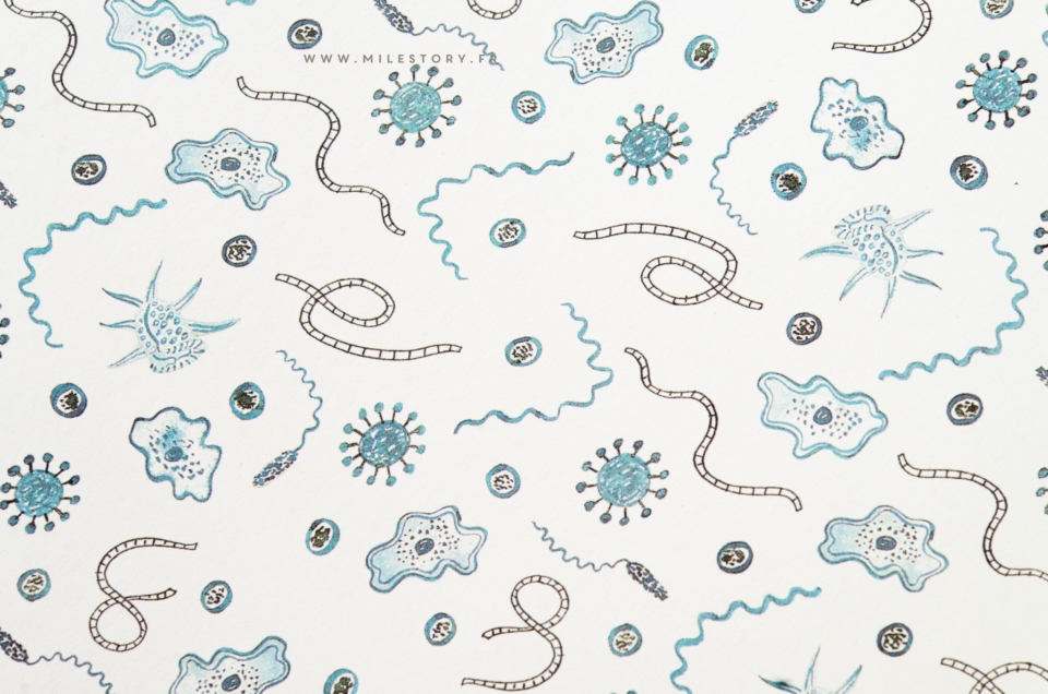 livre enfant sur les microbes