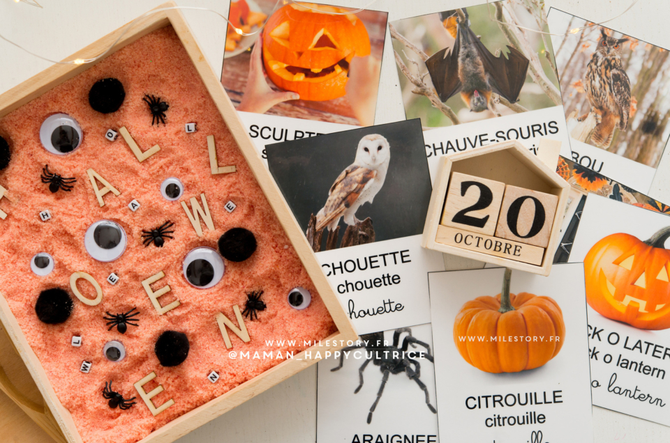 Récap Activités Halloween Maternelle – ief coschooling