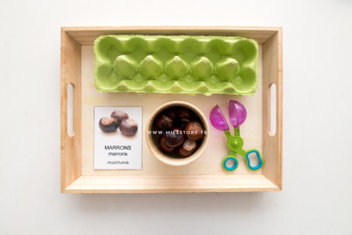 Activités d'inspiration Montessori 2 à 3 ans - Milestory.fr Fiches d