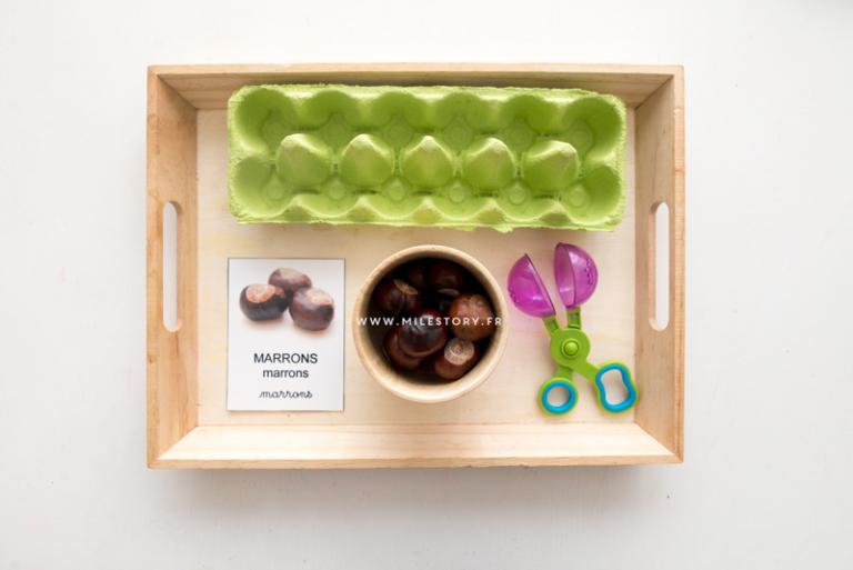 Activités d'inspiration Montessori 2 à 3 ans - Milestory.fr Fiches d
