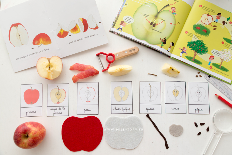 Atelier IEF Maternelle Coschooling Livres Et Activit s Sur La Pomme Atelier IEF Maternelle Coschooling Livres Et Activit s Sur La Pomme