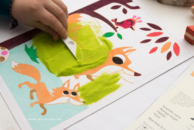Activités animaux de la forêt / ief, coschooling, maternelle