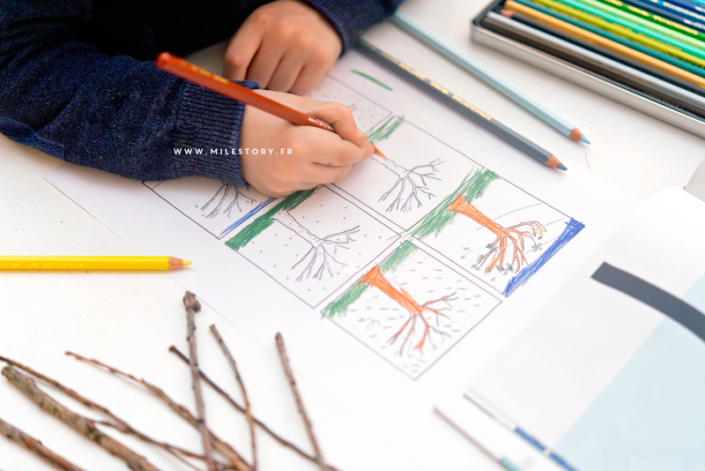  Exploitation album l'arbre et l'hiver en maternelle - Milestory.fr Bildidee 