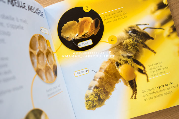 {IEF Maternelle - coschooling} Livres et activités sur les abeilles