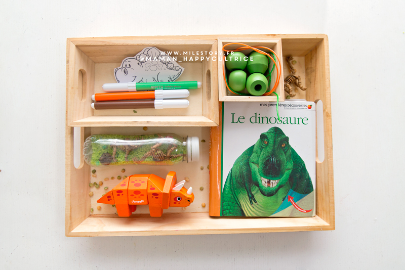 Jeux Sensoriel Dinosaure Bebe 12 18 Mois, Montessori Motricité