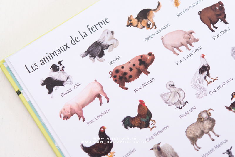 1000 Animaux En Images Milestory