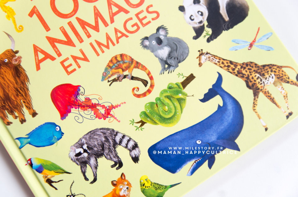 1000 animaux en images