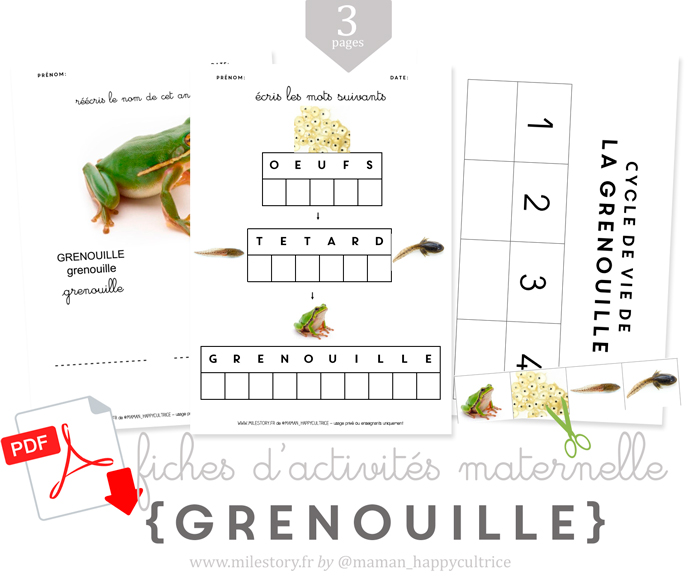 Reconnaissance de lettres avec les grenouilles - Jeu sur LogicielEducatif