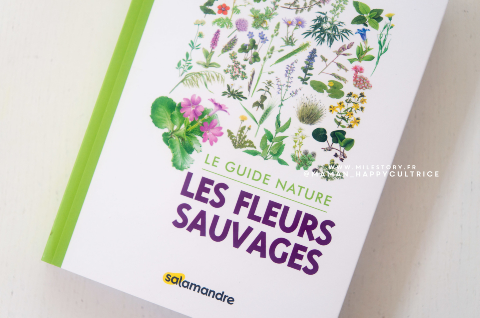 Un livre pour identifier les fleurs sauvages + fichier à télécharger cherche et trouve