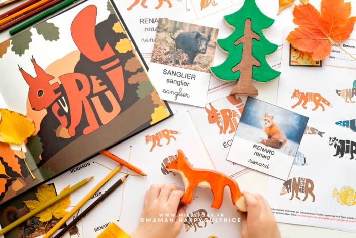 Activités animaux de la forêt / ief, coschooling, maternelle