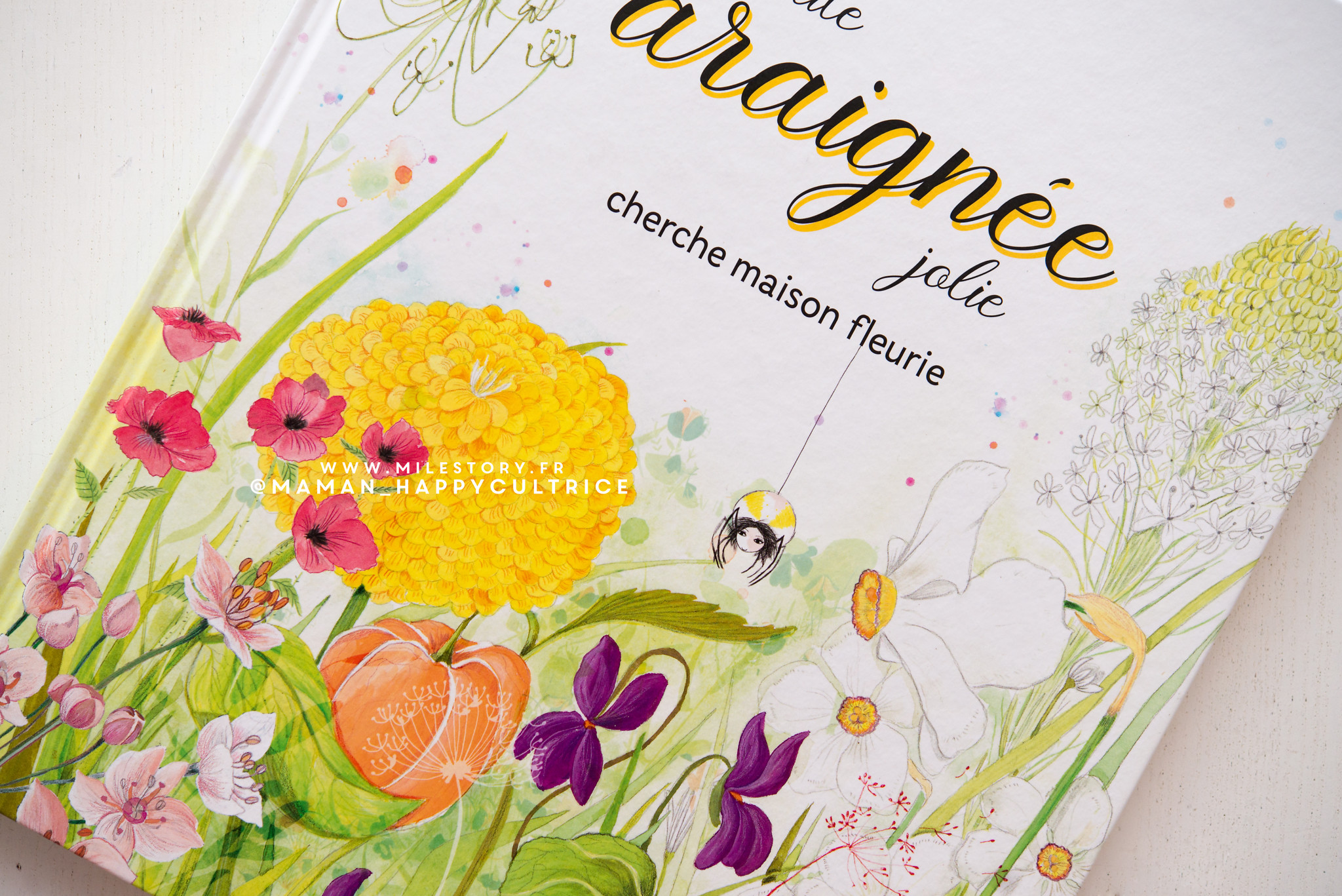 Petite araignée jolie cherche maison fleurie – Hatier Jeunesse