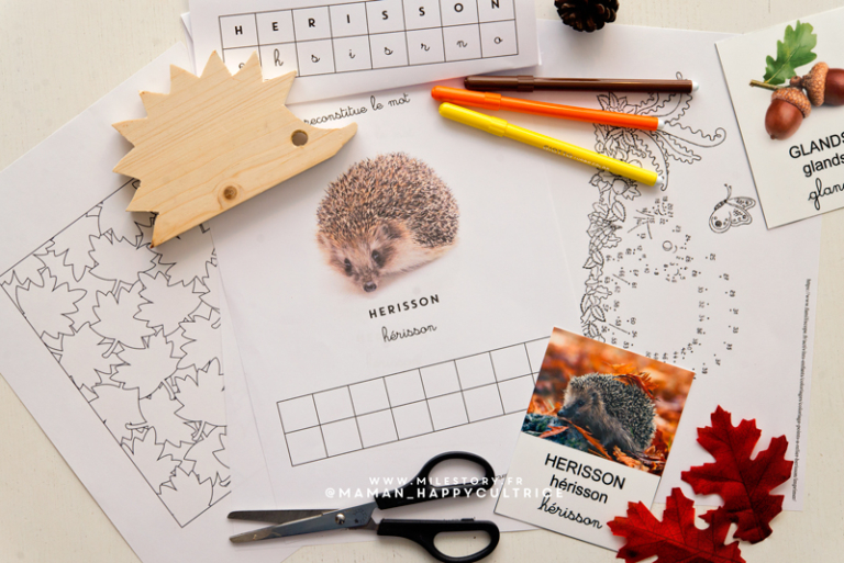 Activités sur le thème du hérisson - Milestory.fr Fiches d'activités