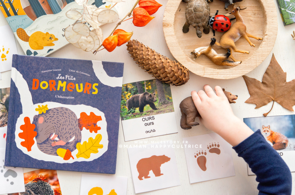 Activités Les animaux en hiver – Maternelle