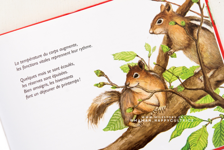 Activités Les animaux en hiver - Maternelle - Milestory.fr Fiches d ...