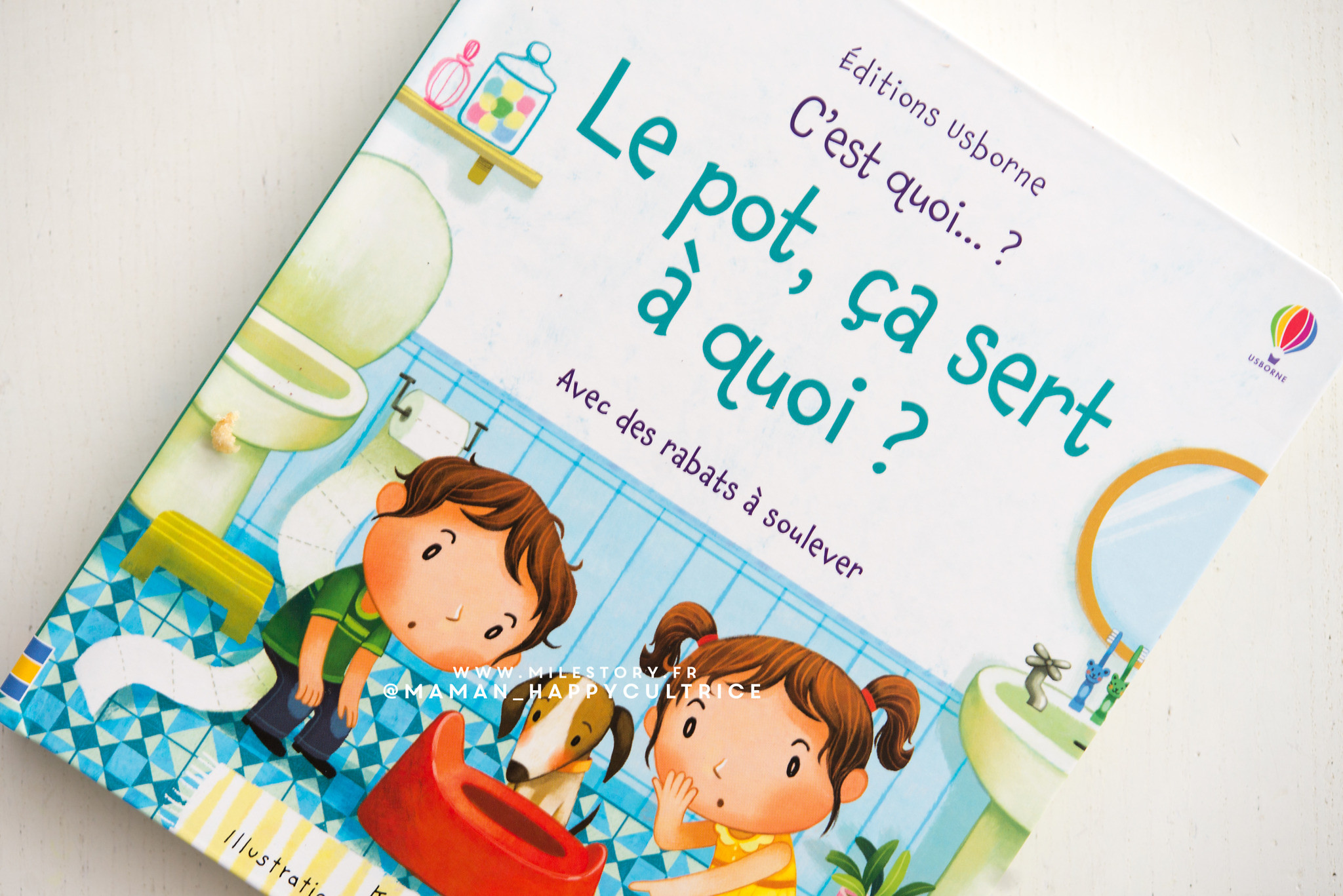 Le Pot Ca Sert A Quoi Vers L Apprentissage De La Proprete Milestory Fr