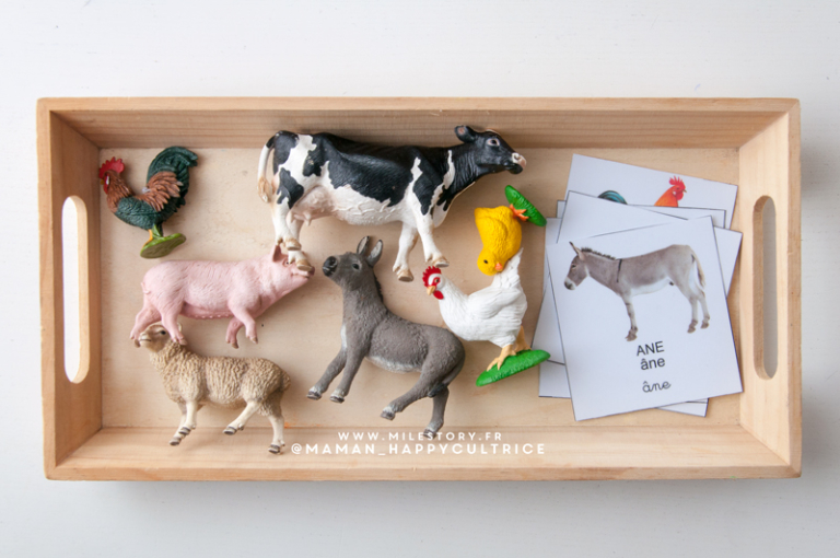 Activités ferme et animaux de la ferme maternelle - Milestory.fr Fiches ...
