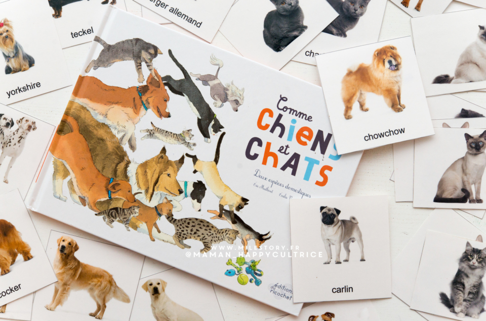 un livre documentaire sur les chiens et les chats