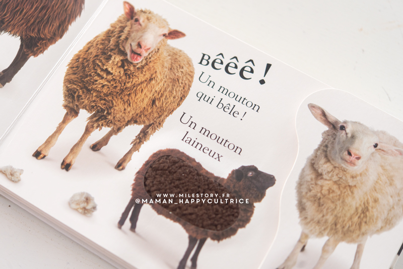 LES ANIMAUX DE LA FERME ET LEURS PETITS K654335 - Papeteries d'Arvor