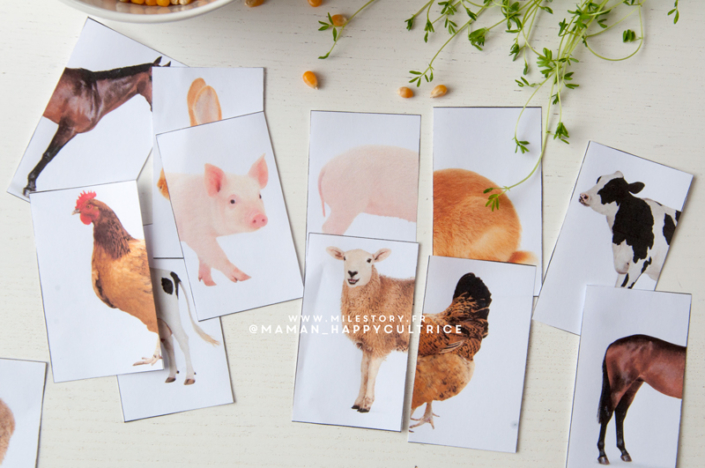 Activités ferme et animaux de la ferme maternelle - Milestory fiches