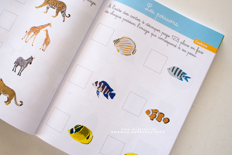 Cahier activités vacances 2020: Cahier maternelle petite moyenne et grande  section 2020, cahier d'activités fille licorne, mon grand cahier  d'activités 2020, carnet activités été 2020, carnet activité 