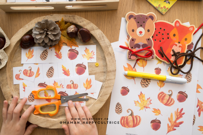 Activités d'inspiration Montessori 2 à 3 ans - Milestory.fr Fiches d