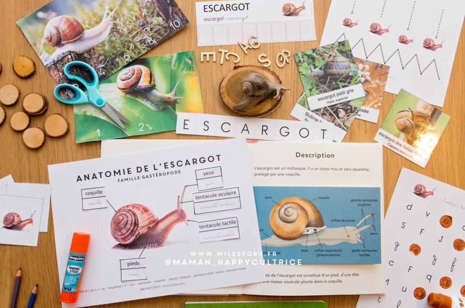 Activités thème Escargots en maternelle