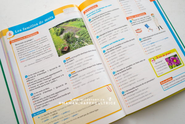 Exercice CE1 G ou GU à imprimer - orthographe - Milestory.fr Fiches d