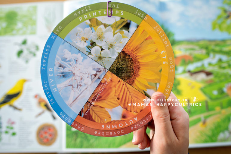 Roue des saisons à imprimer / maternelle - cp - Milestory.fr Fiches d ...