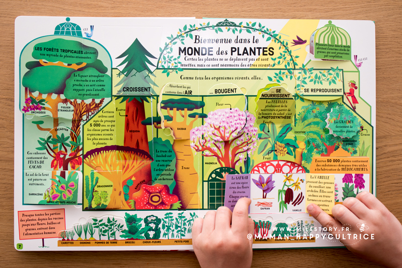 Coffret Montessori : Tri des animaux poils, plumes, écailles