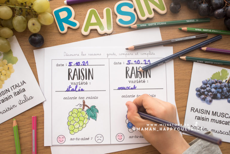 Le raisin en maternelle, cp, ce1, ce2 - Milestory.fr Fiches d'activités