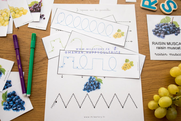 Le raisin en maternelle, cp, ce1, ce2 - Milestory.fr Fiches d'activités